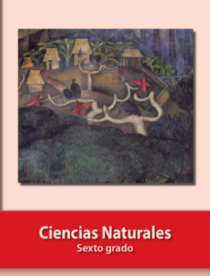 Libro de Ciencias Naturales. sexto grado (PRIMARIA)