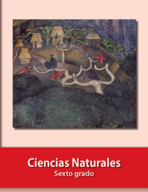 Libro de Ciencias Naturales. sexto grado (PRIMARIA)